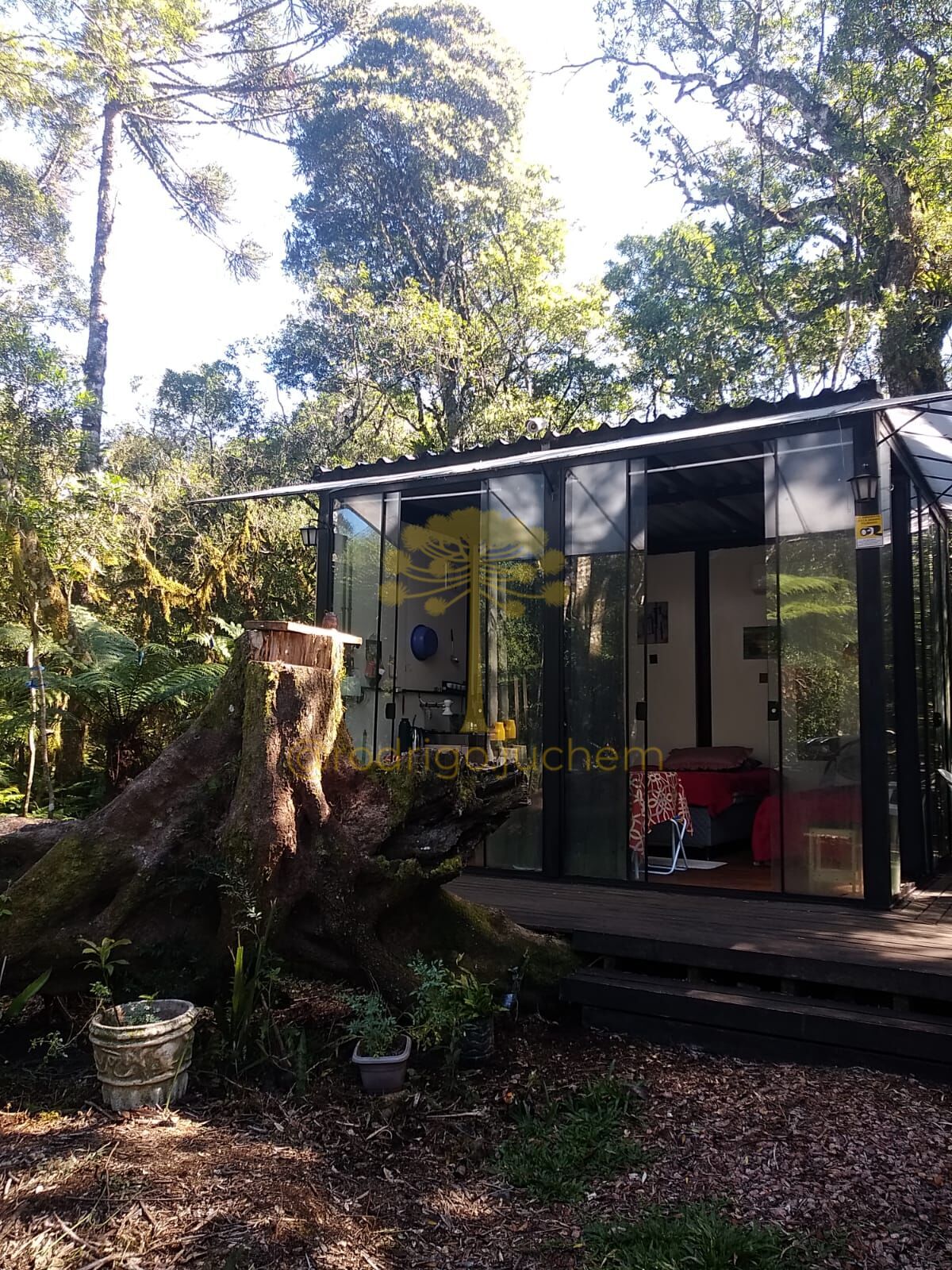 Kitnet no bairro Colinas, São Francisco de Paula-RS