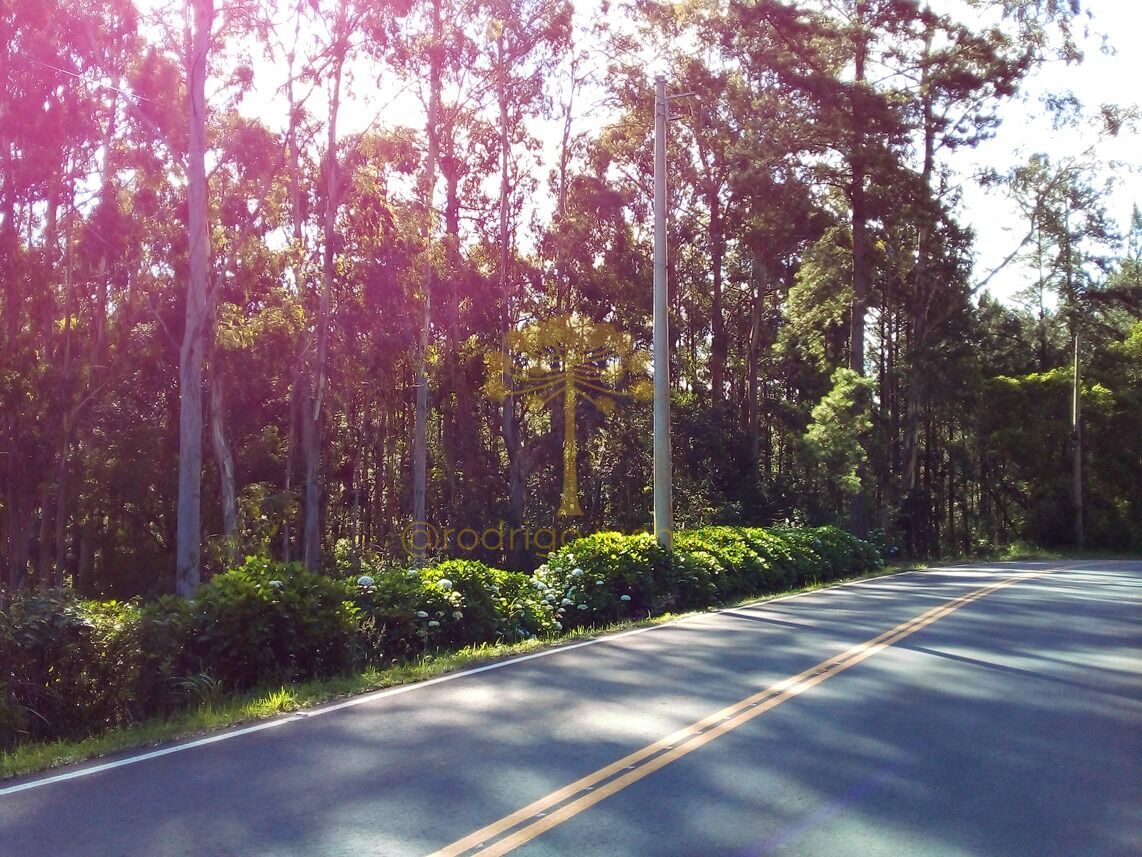 Área em Mato Queimado, Gramado