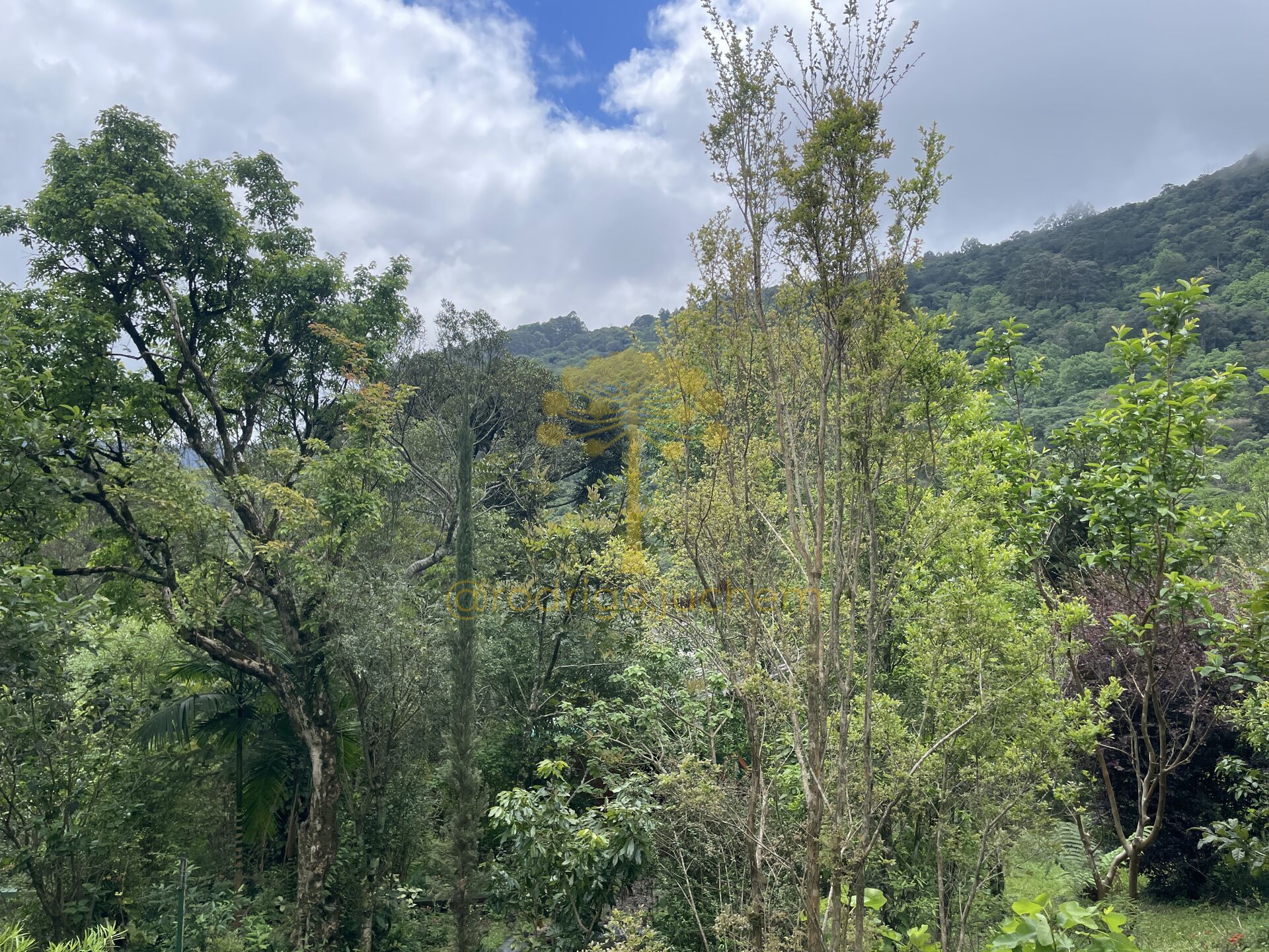 Sítio a 4km do Lago São Bernardo em São Francisco de Paula - RS