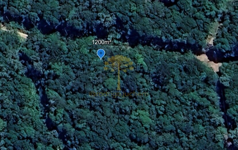 Terrenos no loteamento Colinas