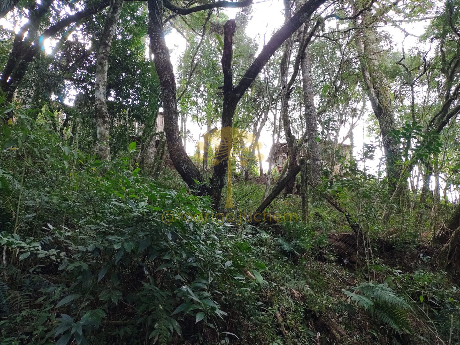 Terreno no Salto em São Chico — foto 2