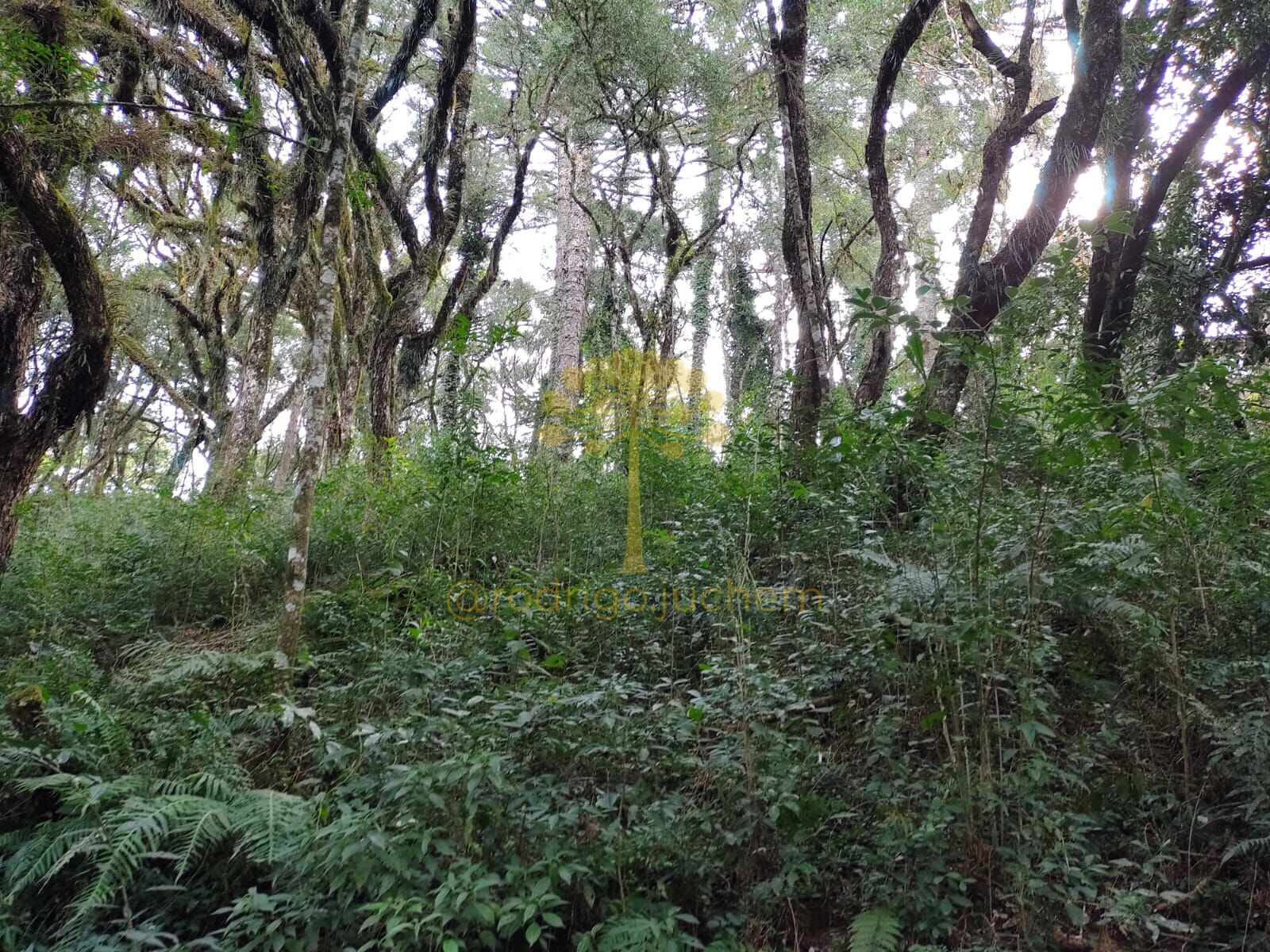 Terreno no Salto em São Chico — foto 3