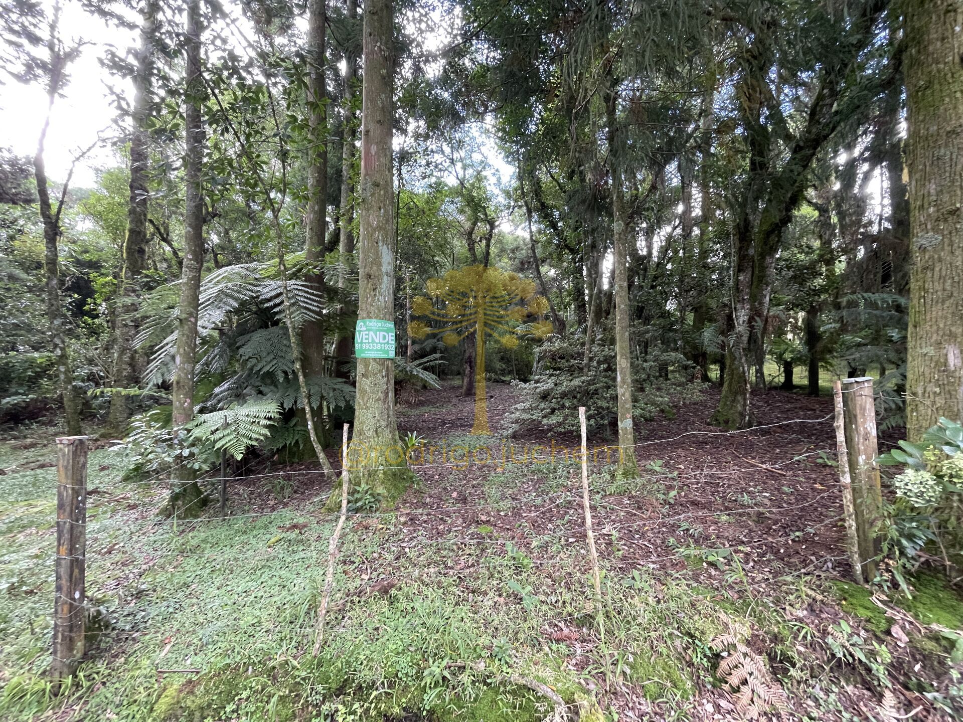 Terreno no bairro São Bernardo, São Francisco de Paula/RS — foto 2