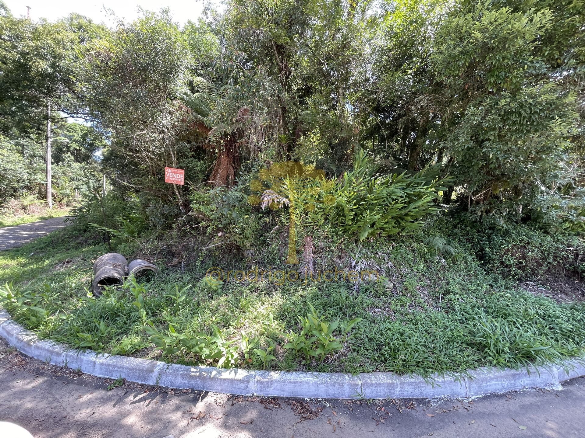Terreno no bairro São Bernardo, São Francisco de Paula/RS — foto 3