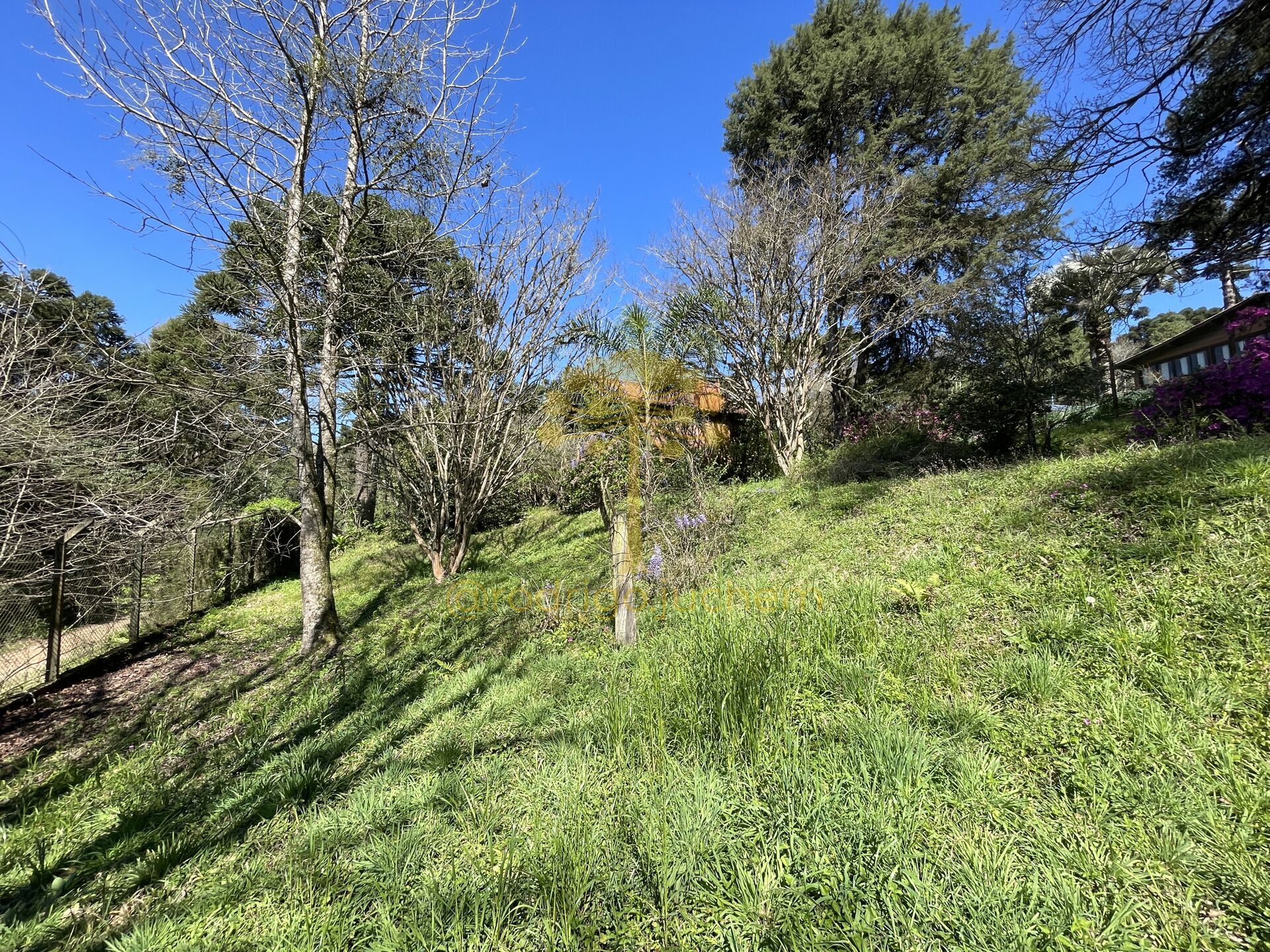 Terreno em Barragem Do Salto, São Francisco de Paula/RS — foto 2