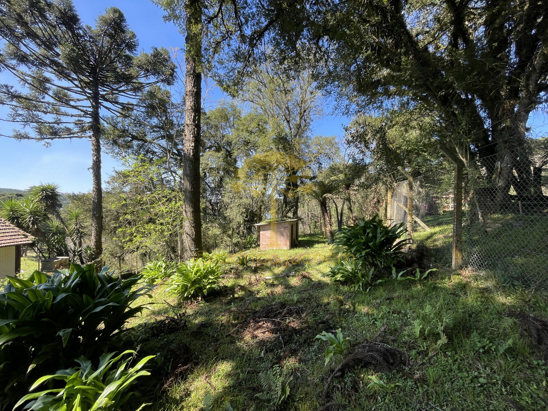 Terreno em Barragem Do Salto, São Francisco de Paula/RS — foto 3