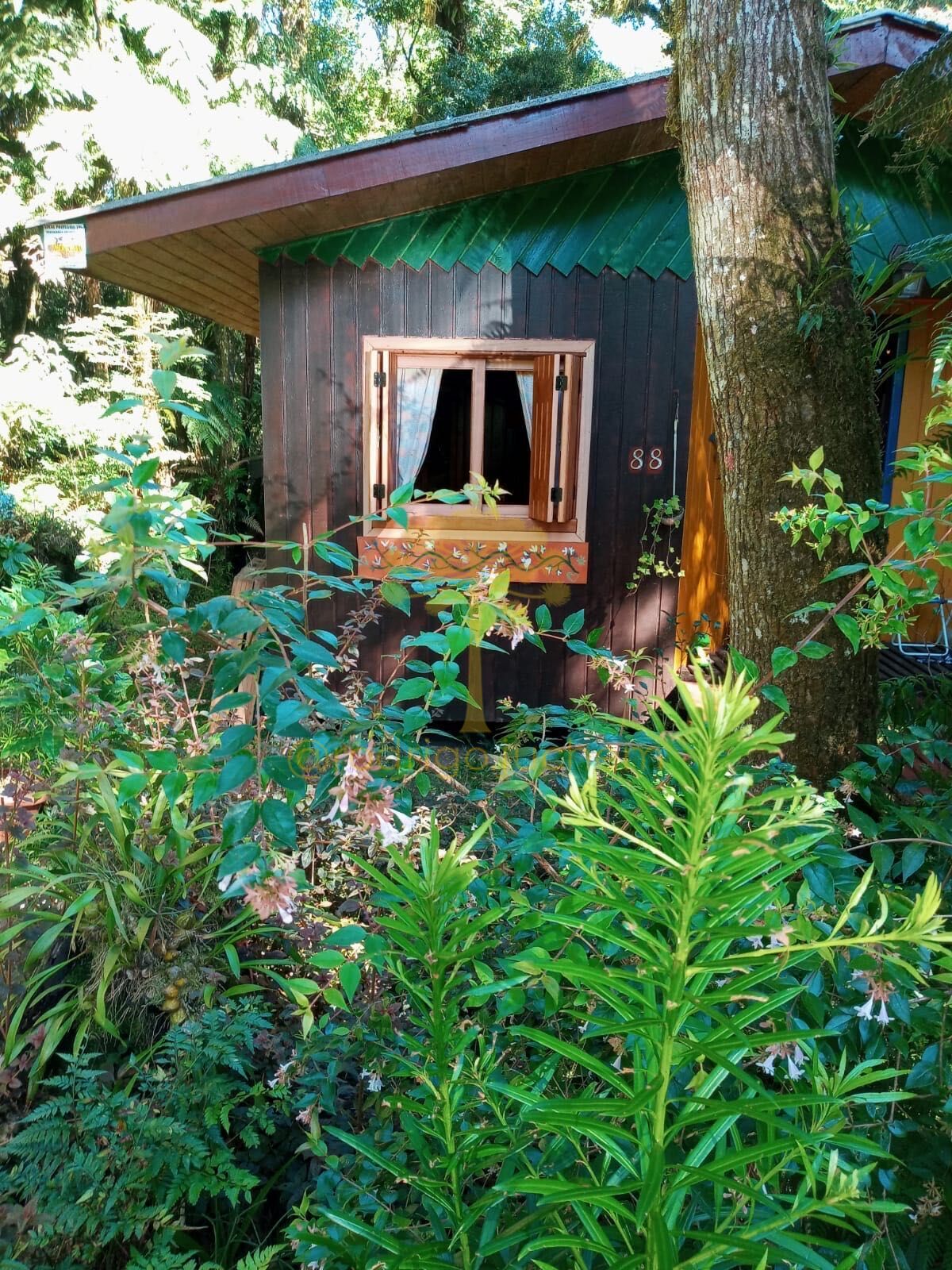 Casa Madeira em Alpes, São Francisco de Paula/RS