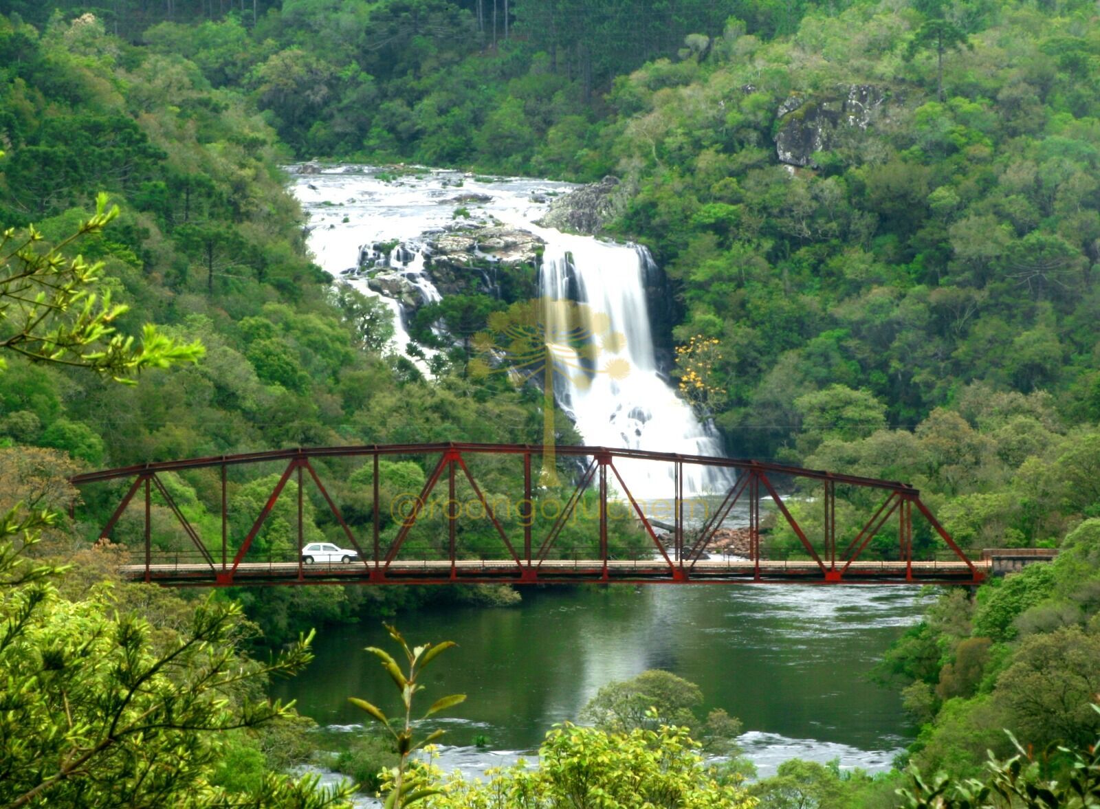 Parque ecológico — foto 2