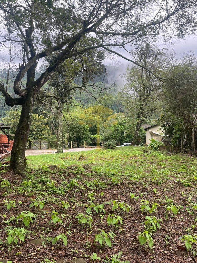 Terreno em Loteamento Cascata Sao Miguel, Dois Irmãos — foto 2