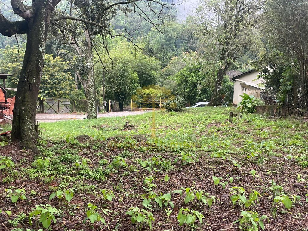 Terreno em Loteamento Cascata Sao Miguel, Dois Irmãos — foto 3