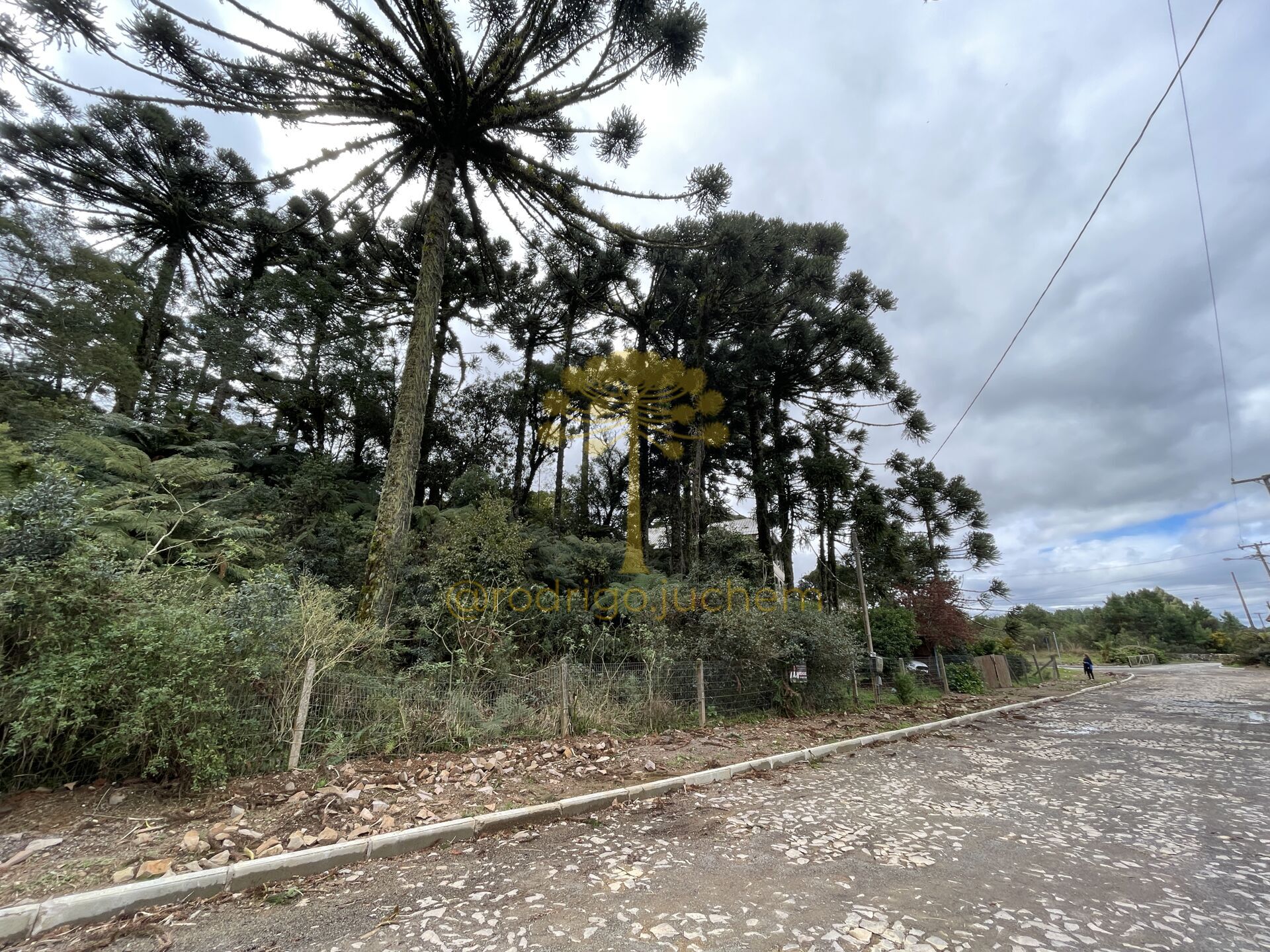 Propriedade à venda no Loteamento Alpes – São Francisco de Paula/RS — foto 2