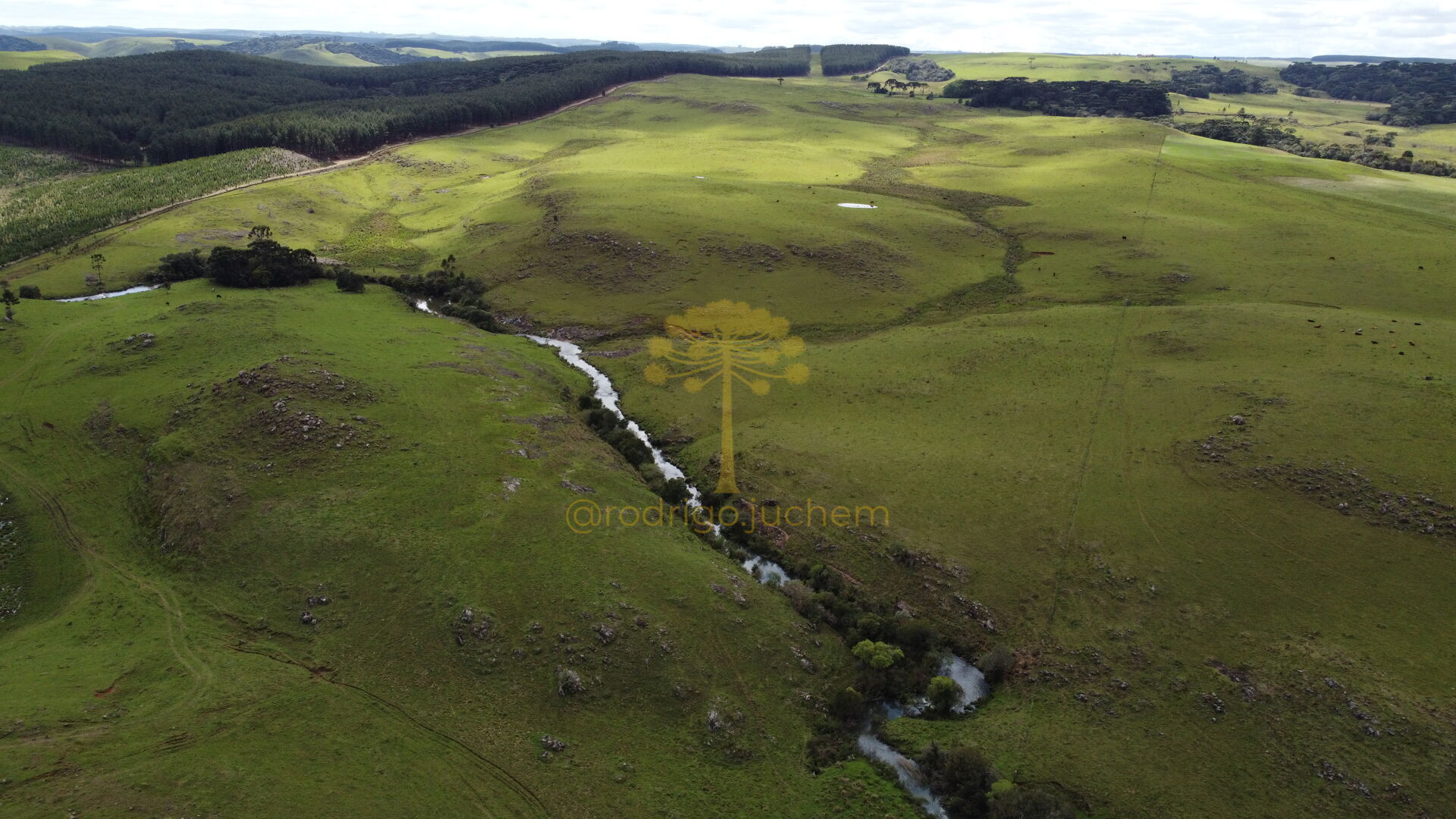 Área de 55 hectares