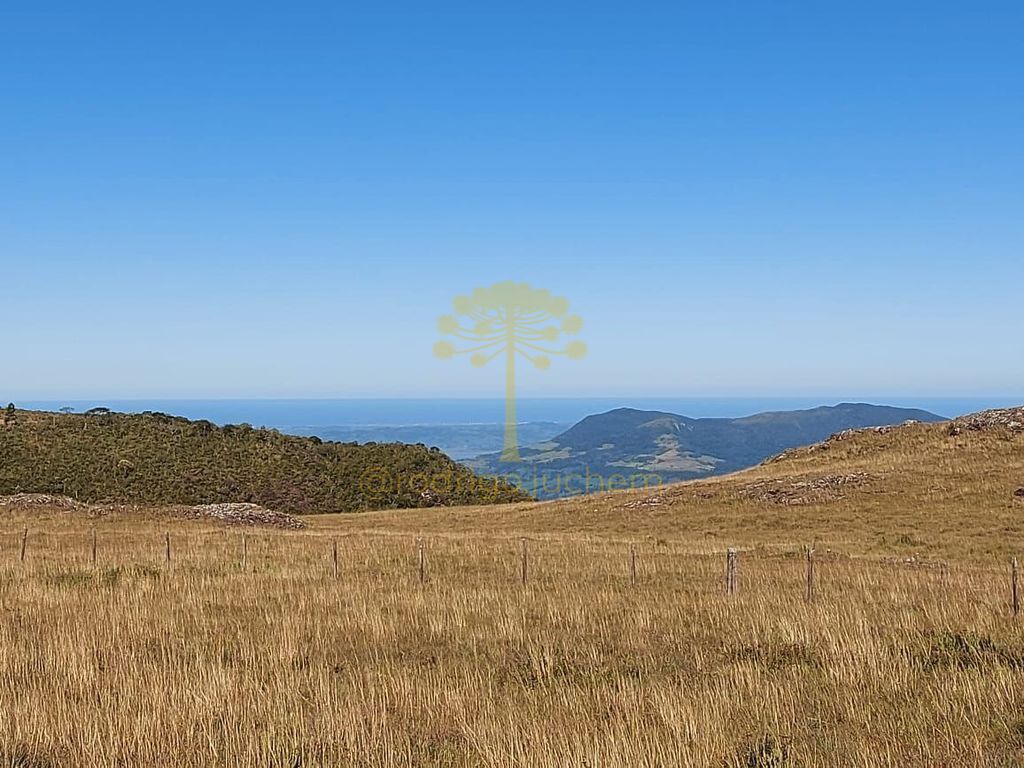 Sítio com 20 hectares em Cambará do Sul — foto 2