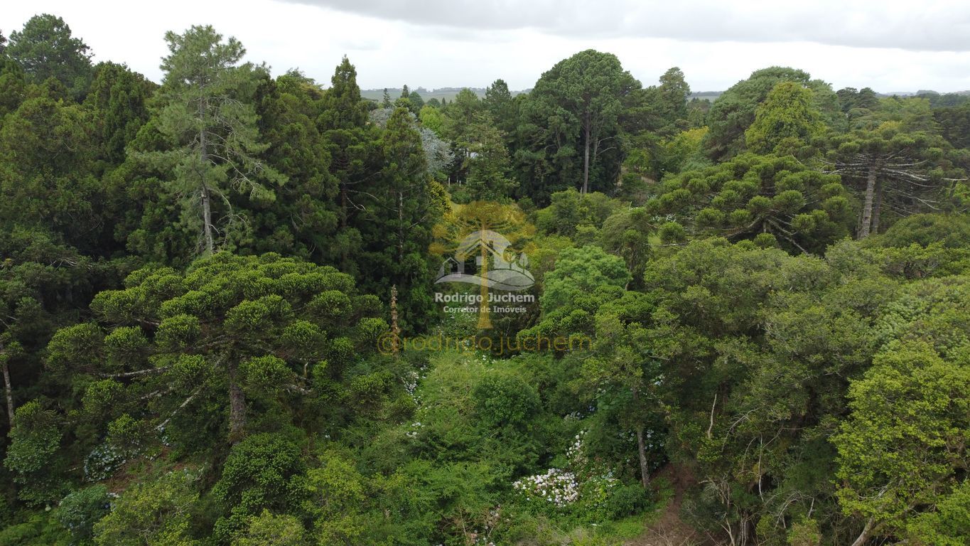 Terreno em Remanso Indianápolis, São Francisco de Paula — foto 3