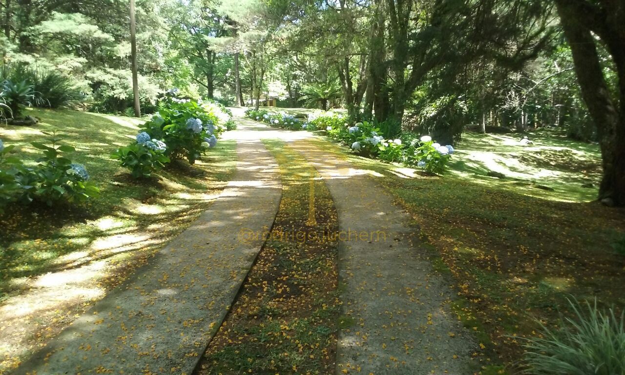 Sítio na Recosta, São Francisco de Paula/RS — foto 2