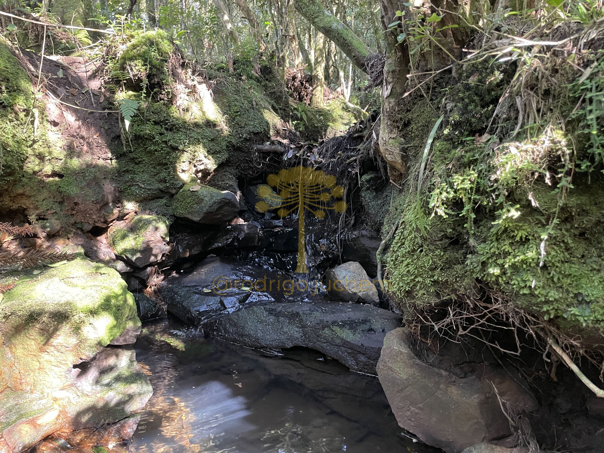 Área de 13 hectares próxima ao centro de São Francisco de Paula, com água natural e potencial turístico