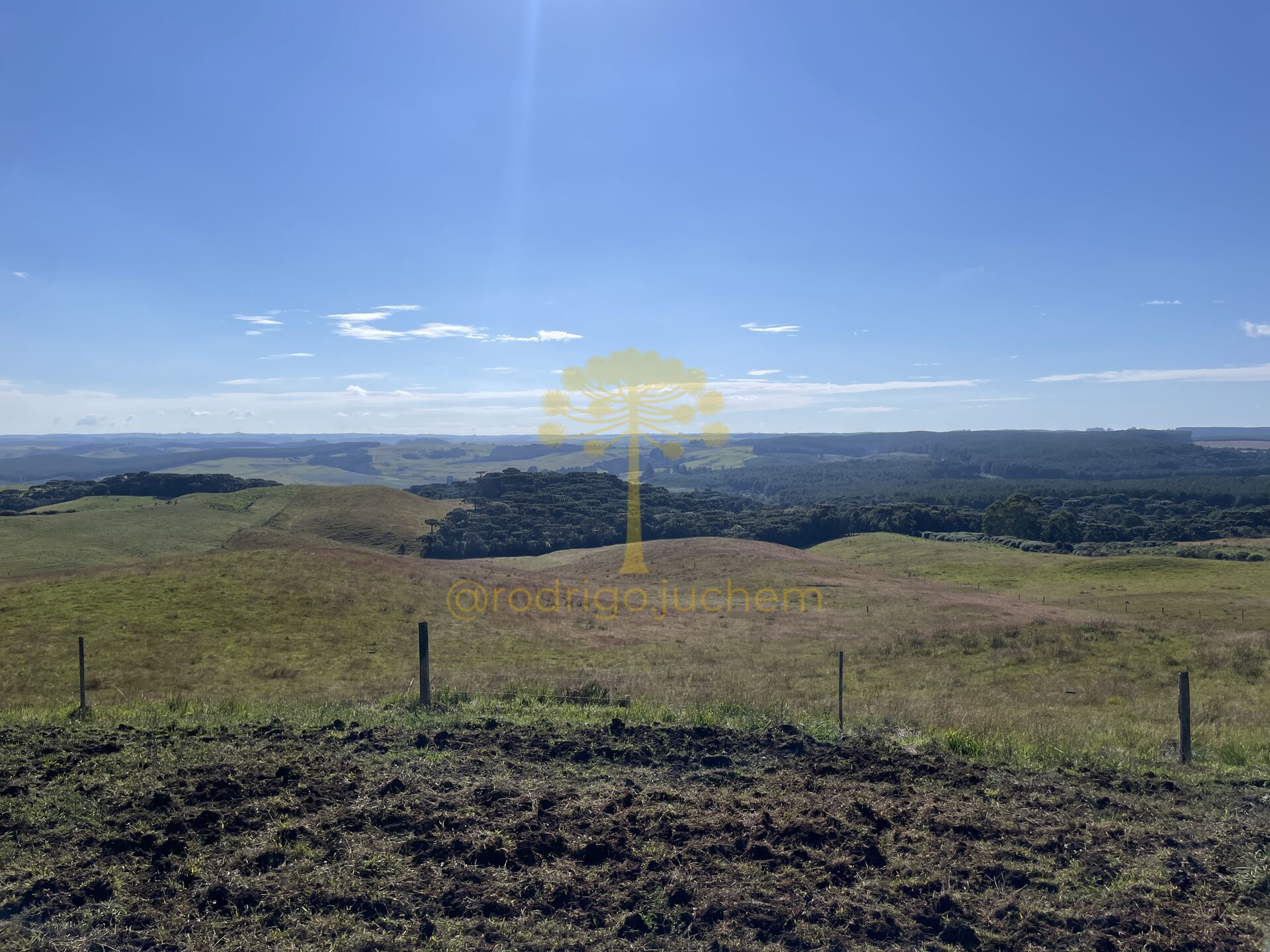 Área de 13 hectares próxima ao centro de São Francisco de Paula, com água natural e potencial turístico — foto 2