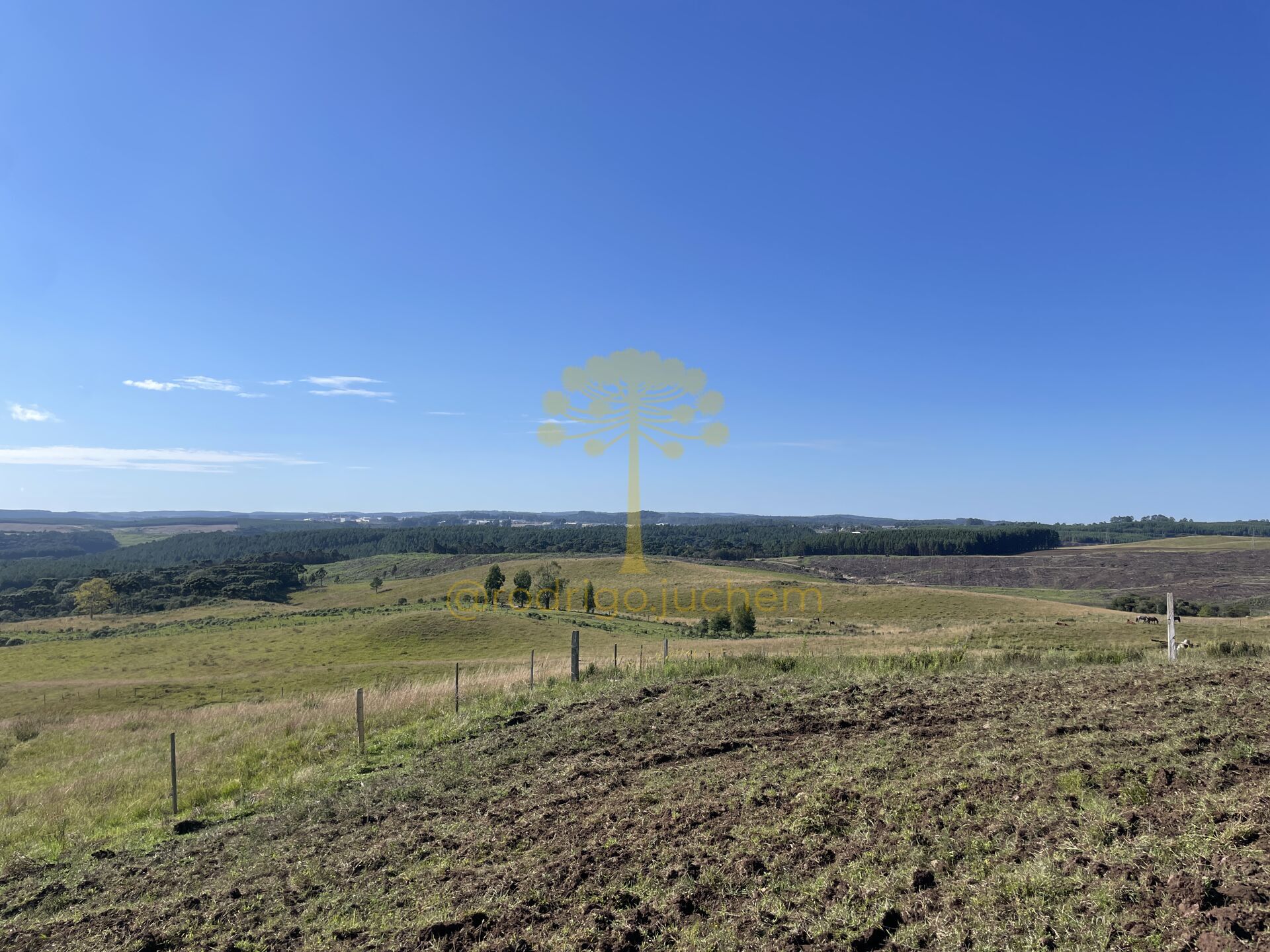 Área de 13 hectares próxima ao centro de São Francisco de Paula, com água natural e potencial turístico — foto 3