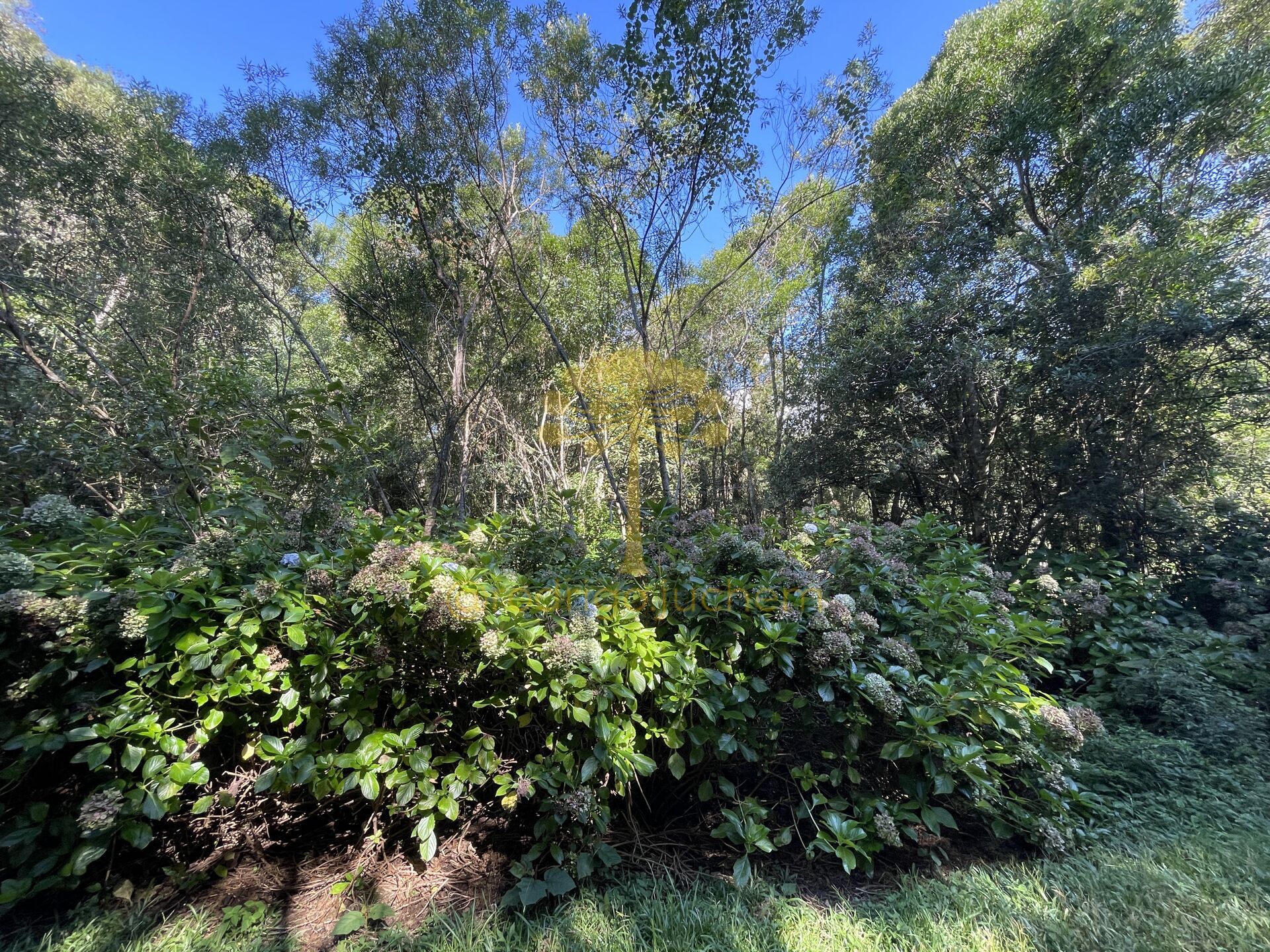 Terreno com 750m² no Colinas - São Francisco de Paula — foto 3