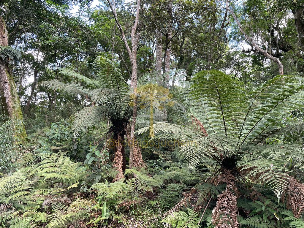 Terreno em Colinas, São Francisco de Paula — foto 2