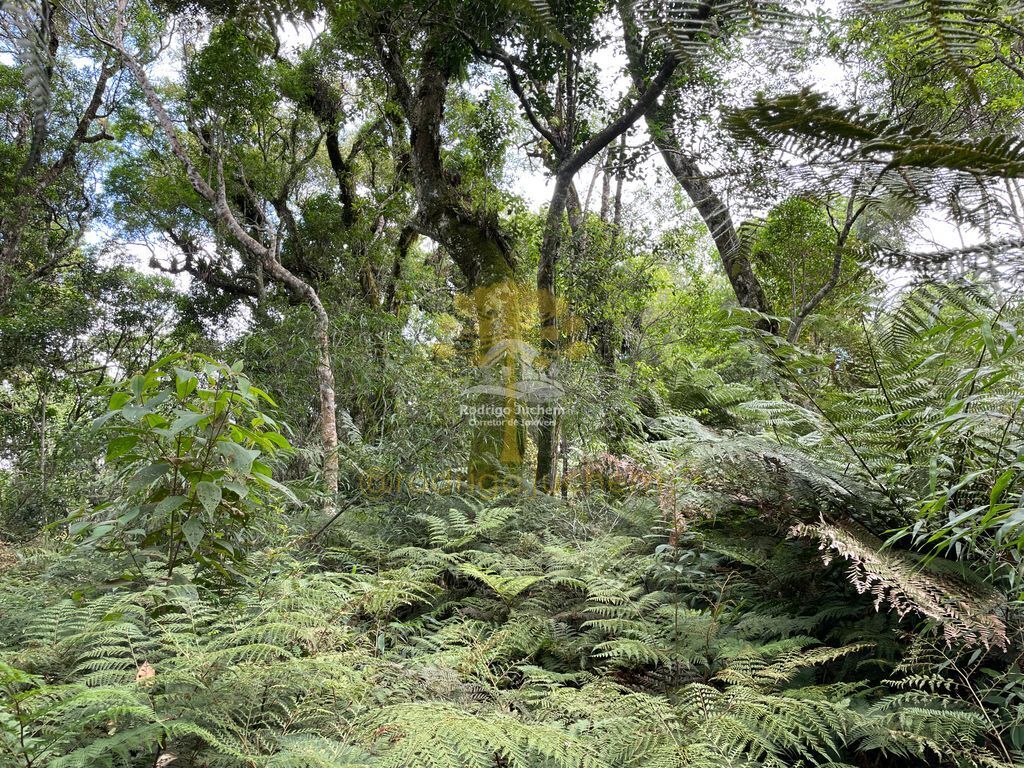 Terreno em Colinas, São Francisco de Paula — foto 3
