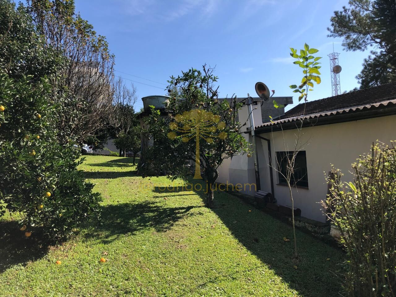 Casa com terreno amplo, churrasqueira e espaço verde em Lomba Grande, Novo Hamburgo — foto 3