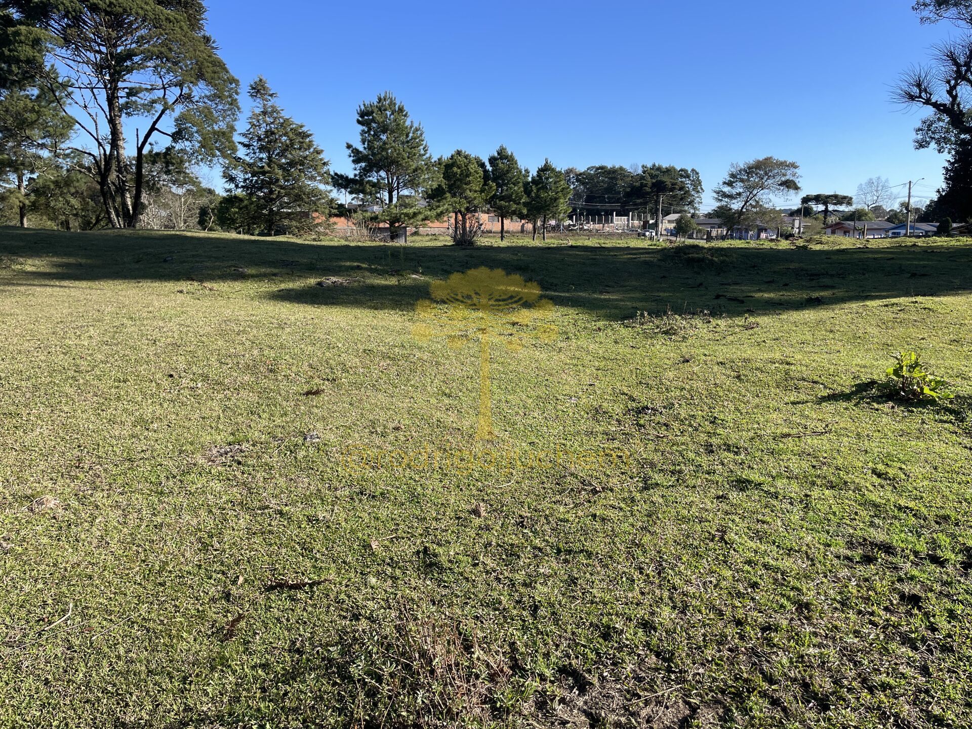 Terreno em Centro, São Francisco de Paula/RS