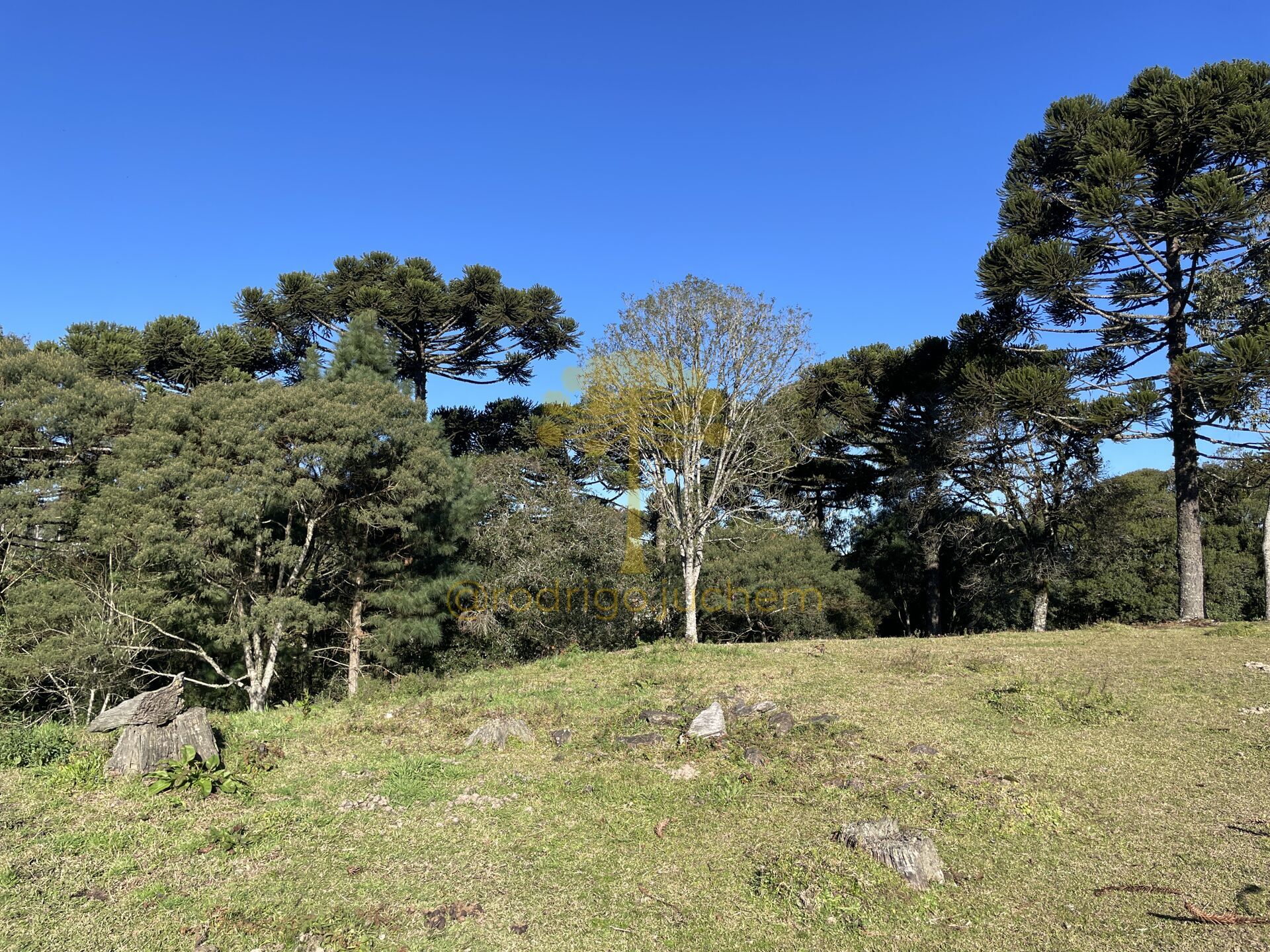 Terreno em Centro, São Francisco de Paula/RS — foto 2