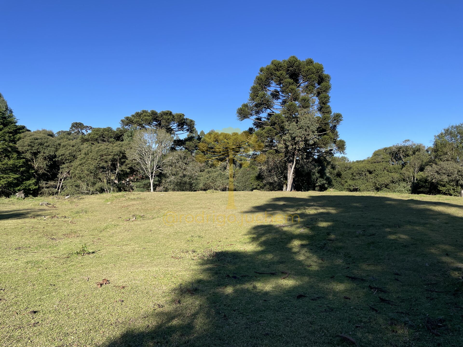 Terreno em Centro, São Francisco de Paula/RS — foto 3